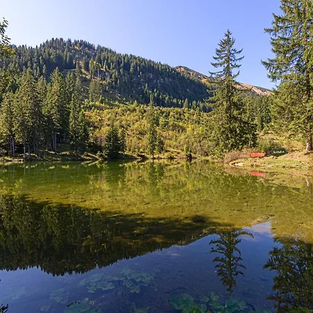 Austria Таннхайм