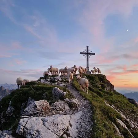 Austria Pensjonat Tannheim