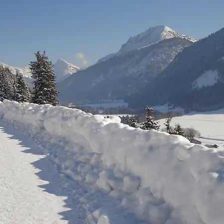 Apartment Austria