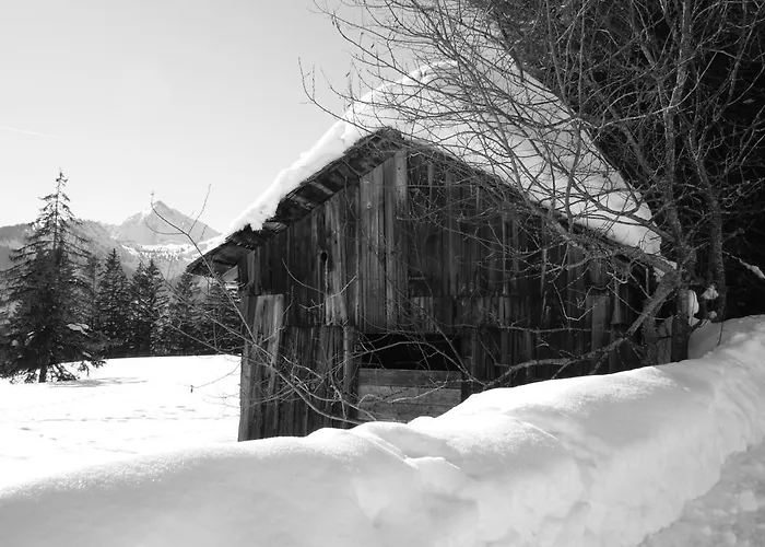 Gasthuis Austria Tannheim